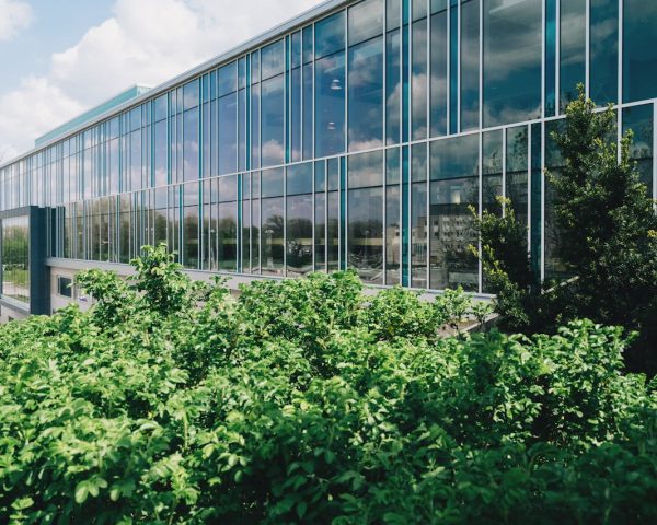 pexels scottwebb 137618